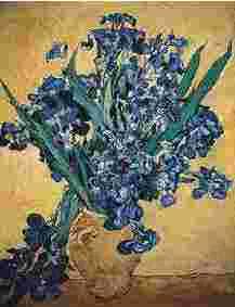 Vincent Van Gogh Still Life with Irises Norge oil painting art